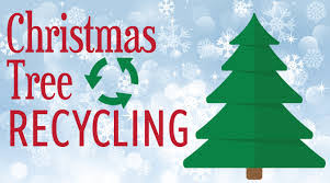 Recycling Live Christmas Tree Options Available in the City of Zachary